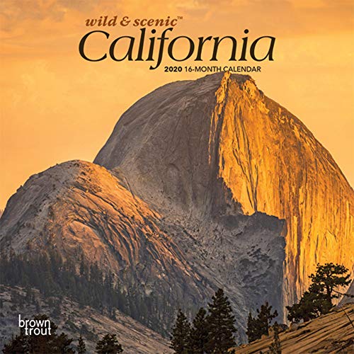 California Wild & Scenic 2020 7 x 7 Inch Monthly Mini Wall Calendar, USA United States of America Pacific West State Nature by BrownTrout Publishers Inc.
