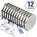 Super Strong Neodymium Disc Magnets, Powerful N52 Rare Earth Magnets - 1.26 inch x 1/8 inch, Pack of 12 primary