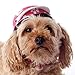 Helmet for Biker Dogs, Cats and Small Pets, Costume, Pet Accessory - Cutie Skull