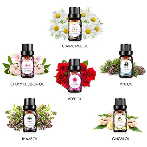Essential Oils Set, VSADEY Aromatherapy Essential Oil Kit for Diffuser, Humidifier, Massage, Skin Care - Lavender, Eucalyptus, Peppermint, Sweet Orange, Tea Tree, Lemongrass, Bergamot (26 x 5ml)