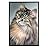 signwin Framed Canvas Wall Art Cat Animals Cat Chic Multicolor Photography Urban - 16x24 inches