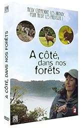 A Côté Dans Nos Forêts