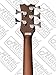 Dean Acoustic-Electric Bass Cutaway 5 String Satin Finish