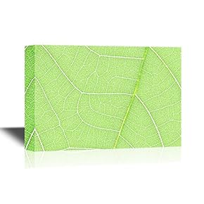 Leaf Texture Close Up