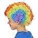 Rainbow Clown Child Dress Up Wig