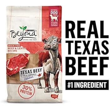 Purina Beyond Grain Free, Natural, High Protein Dry Dog Food, Texas Beef & Lentil Recipe - 3 lb. Bag