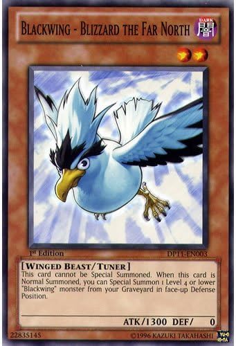 Amazon Com Yugioh Dp11 En003 1st Ed Blackwing Blizzard The Far North Common Card Crow Yu Gi Oh Single Card By Deckboosters Toys Games