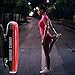 Base Camp LED USB Tail Light with Clip and Strap (Red)