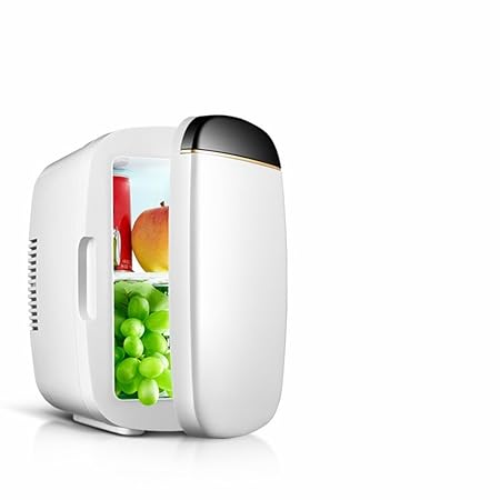 GBT 6 litros Coche frigorífico Coche Doble Uso Mini Mini ...