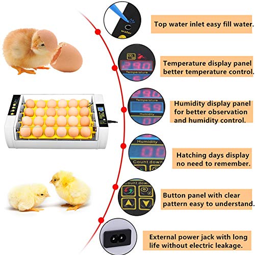 Egg Incubator(24 Eggs), Fully Automatic Digital Poultry Hatching Machine, Temperature Control