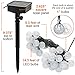 SOLVAO Solar Globe String Lights (30 LED) - Waterproof Outdoor Decorative Lighting for Your Patio, Garden, Deck, Umbrella or Camping Trip - Create an Inviting Warm White Atmosphere Powered by the Sun