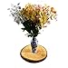 Woodlandia Basswood Disk 10x1 inches (Pack of 4)