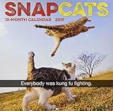 Snapcats 2019 Wall Calendar by 