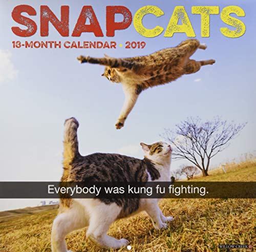 Snapcats 2019 Wall Calendar by Willow Creek Press