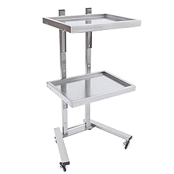 CHINEGER 2 Tier Metal Rolling Cart Foldable Salon