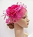 K.CLASSIC Fascinators Hats for Womens 50s Headwear with Veil Flower Cocktail Wedding Tea Party Hat(A-Rose)