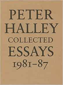 Peter halley essays 07 image