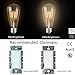 Santaro 4W 3pack Warm White Dimmable Edison Vintage LED Filament Bulb - Soft White Replace 20W Incandescent, E26 110V 80Ra LED Edison Style Retro ST64