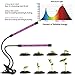 Grow Light 20W 40 LEDs 3 Spectrums by GreenLaren, Dual Head Plant Light for Indoor Plant, Grow Lamps with 24H Mechanical Outlet Timer and 360°Flexible Gooseneck Arm