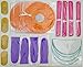 20 pcs Hanging Paper Party Decoration Supplies Kit in Orange, Pink, Purple, Teal, and Glitter Gold-Includes 4 Lanterns, 4 Pom Pom Flowers, 4 Tissue Fans, 4 Honeycombs, and 4 Strings of Dot Garland