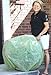 Frost Protek Plant Cover - Large - Garden Fabric for Protection and Insulation