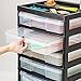 IRIS 6-Compartment Project Case Scrapbook Chest, 6 Drawers, 15-22/25 x 14-1/4 x 26-3/4 Inches, Black