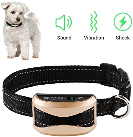 Bark Collar Dog Training Anti-Barking Collar with Beep,Vibration and Harmless Shock Rechargeable No Bark Control for Small/ Medium/ Large Dogs 7 Sensitivity Levels - 2018 Newest Chip (Champagne gold)
