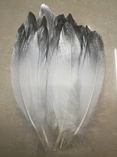 ZJONES Goose Feather 50pcs Painting Feather 13-18cm For Craft (silver/white)