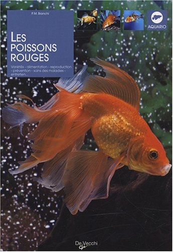 Les  poissons rouges