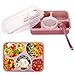 Lunch Bento Box Container, Iwotou Microwave and Dishwasher Safe Lunch Box with 5+1 Separated Containers (Pink)
