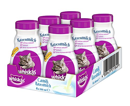 Whiskas Cat Milk 200ml Pack Of 6 Buy Online In Guernsey At Guernsey Desertcart Com Productid 40617252