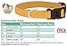 Country Brook Petz - Premium Pink Paisley Dog Collar - Paisley Collection with 6 Classy Designs (1 Inch, Large)