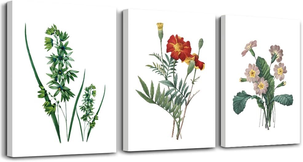 Green leaves Plants and flowers modern Home art bathroom Wall decor,posters Canvas Prints Wall Art for Bedroom,Wall Artworks Pictures Living Room Wall Decoration Paintings, 16x24 inch/piece 3 Panels