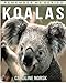 Koala: Amazing Photos & Fun Facts Book About Koala For Kids (Remember Me Series)