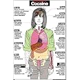 Harmful Effects of Cocaine 24" X 36" Laminated Poster