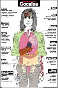 cocaine harmful