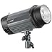 Neewer 300W 5600K Photo Studio Strobe Flash Light Monolight with Modeling Lamp, Aluminium Alloy Construction for Indoor Studio Portrait Photography