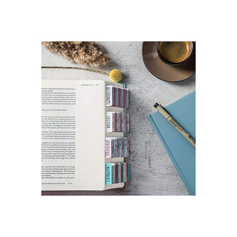 DiverseBee Laminated Bible Tabs (Large Print, Easy to Read), Personalized Bible Journaling Tabs