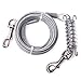 MFPS Favorite Tie Out Cable for Dogs, 30-feet, 3 Colors (Silver)