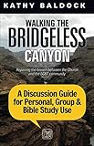 Walking the Bridgeless Canyon Discussion Guide: A Discussion Guide for Personal, Group & Bible Study Use