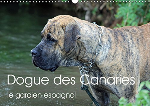 Chiens Dangereux Zones Dombre Autour De Linterdiction