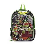 Teenage Mutant Ninja Turtle 16