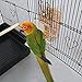 Qukueoy No Split Bird Seed Feeder for Cage,Parrot Automatic Foraging Systems Food Feeding Station with Perch,Heavty Acrylic,One-Step Mouldingthumb 3