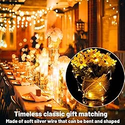 16 Pack 30 Led Fairy Lights Battery Operated String