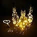 iMazer Wine Bottle Cork Lights, Rechargeable USB Powered Copper Wire String Starry LED Light for DIY,Party,Home Decor,Christmas,Wedding or Mood Lights Wine Bottle Decorations (Warm White 4 Pack)