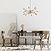 Light Society Sputnik 18-Light Chandelier Pendant, Brushed Bronze, Mid Century Modern Industrial Starburst-Style Lighting Fixture (LS-C115-BRS)