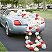LINGSFIRE 10 Pack 10 Inch Tissue Paper Flower Ball Pom-poms for Party/Wedding/Home/Outdoor Decoration (Red)