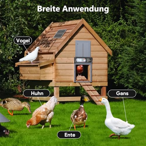 CHAMUTY Automatic Chicken Flap Solar Aluminium Electric Chicken Flap Automatic with LED Display, Light Sensor, Timer, Remote Control, Chicken Coop Door, Grey