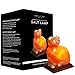 Evolution Salt - Cat Crystal Himalayan Salt Lamp 4-6 lbs.
