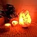 Lotous (8-13 lbs,7-10in) Large Pink Himalayan Salt Lamp Lights, Himalayan Salt Table Lamp Platinum Base Touch Dimmer Switch Control and 1 Salt Night Light, Set of 2 Pack Salt Candle Holder